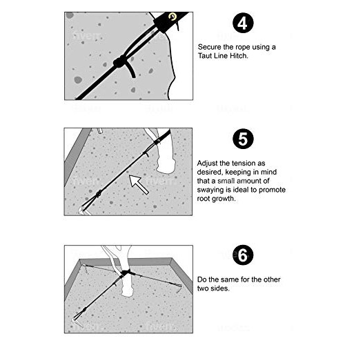 KOGEN Professional Finish Tree Stakes Kit | Anchor Support with St...