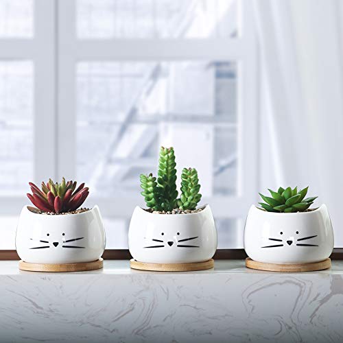 Koolkatkoo 3.2 Inch Cute Cat Ceramic Succulent Planter Pots with R...