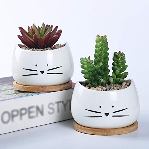 Koolkatkoo 3.2 Inch Cute Cat Ceramic Succulent Planter Pots with R...