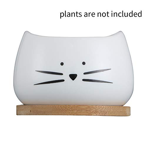Koolkatkoo 3.2 Inch Cute Cat Ceramic Succulent Planter Pots with R...