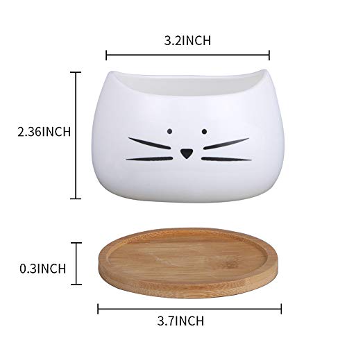 Koolkatkoo 3.2 Inch Cute Cat Ceramic Succulent Planter Pots with R...