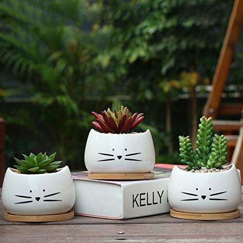 Koolkatkoo 3.2 Inch Cute Cat Ceramic Succulent Planter Pots with R...