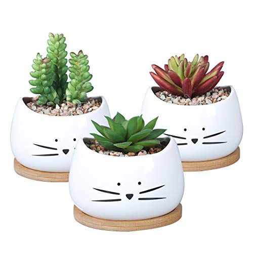 Koolkatkoo 3.2 Inch Cute Cat Ceramic Succulent Planter Pots with R...