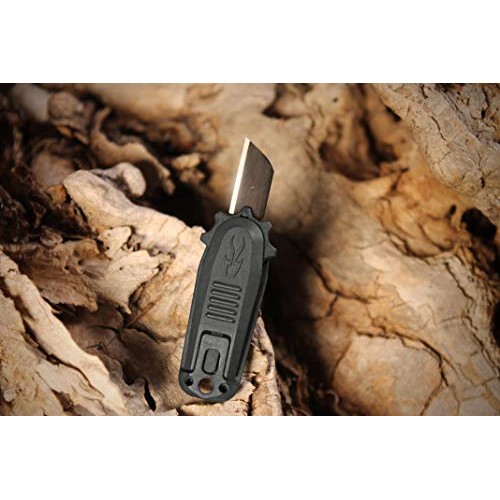 EVERYDAY BLADE Tiny Replaceable Blade Folding Pocket Knife with Th...