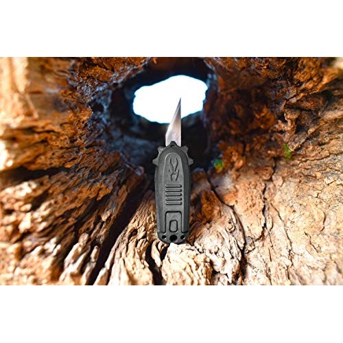 EVERYDAY BLADE Tiny Replaceable Blade Folding Pocket Knife with Th...