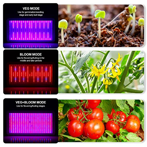 KOSCHEAL LED Grow Light Full Spectrum 2000W, Plant Grow Light with...