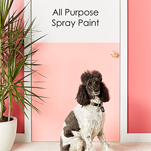 Krylon K05545007 COLORmaxx Spray Paint and Primer for Indoor/Outdo...