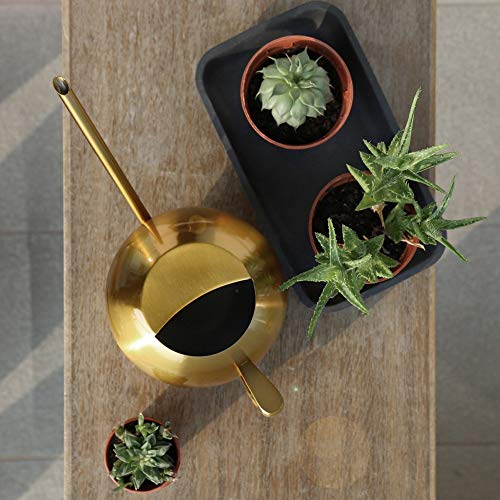 Kunyin Stainless Steel Watering Can 34oz /1L Indoor Outdoor Garden...