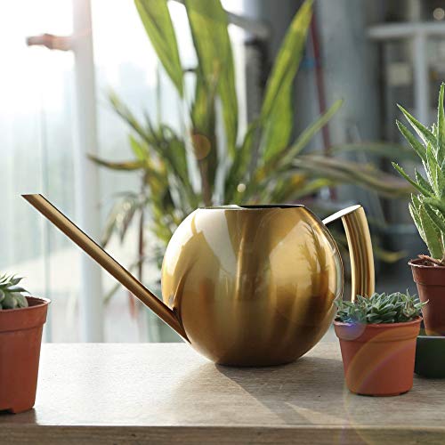 Kunyin Stainless Steel Watering Can 34oz /1L Indoor Outdoor Garden...