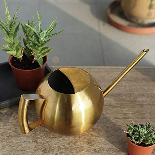 Kunyin Stainless Steel Watering Can 34oz /1L Indoor Outdoor Garden...