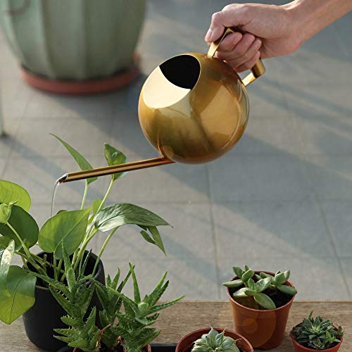 Kunyin Stainless Steel Watering Can 34oz /1L Indoor Outdoor Garden...