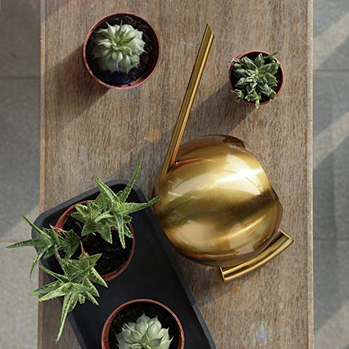 Kunyin Stainless Steel Watering Can 34oz /1L Indoor Outdoor Garden...