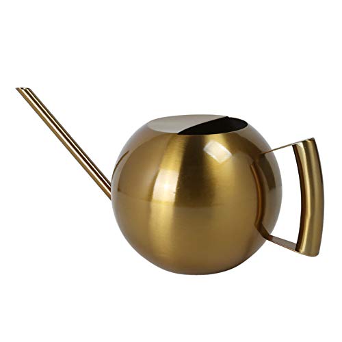 Kunyin Stainless Steel Watering Can 34oz /1L Indoor Outdoor Garden...