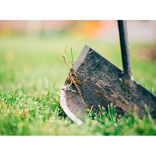 Kwik Edge Tool - Garden Edger Weeder - Soil Cultivator - Hoe Long ...