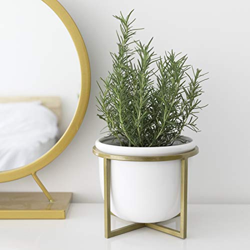 Ceramic Flower Plant Pot with Stand - 6.7 Inch White Indoor Plante...