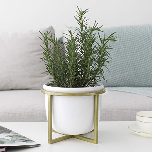 Ceramic Flower Plant Pot with Stand - 6.7 Inch White Indoor Plante...