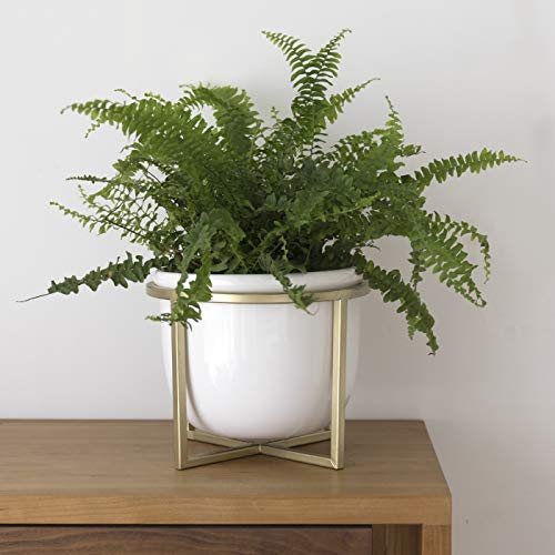 Ceramic Flower Plant Pot with Stand - 6.7 Inch White Indoor Plante...