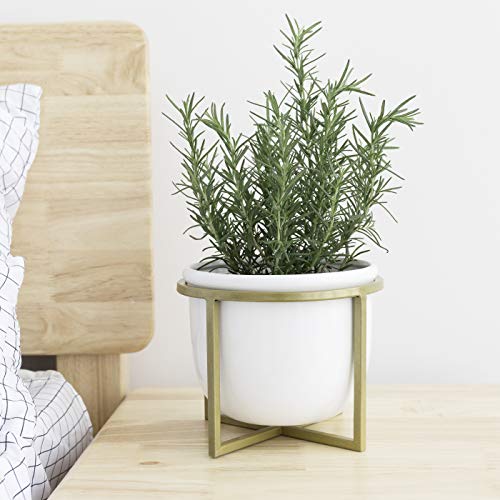 Ceramic Flower Plant Pot with Stand - 6.7 Inch White Indoor Plante...