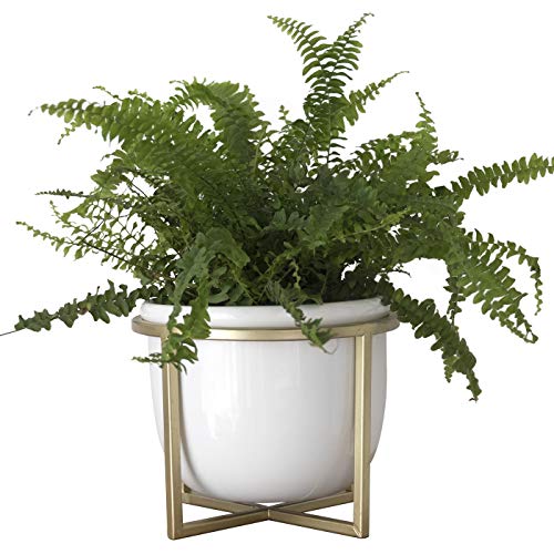Ceramic Flower Plant Pot with Stand - 6.7 Inch White Indoor Plante...