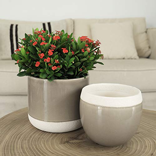 Ceramic Flower Plant Pots - 6.5 + 4.9 Inch Indoor Planters, Plant ...