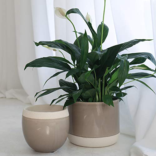 Ceramic Flower Plant Pots - 6.5 + 4.9 Inch Indoor Planters, Plant ...