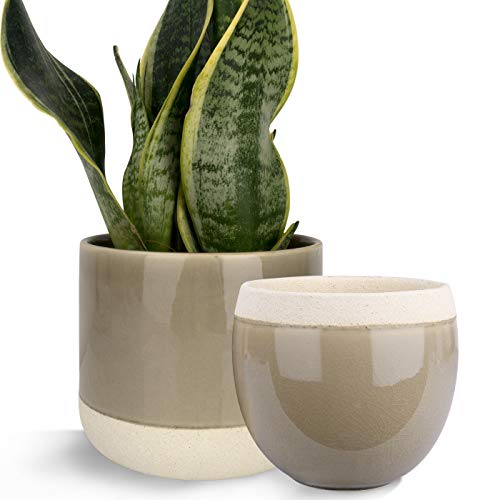Ceramic Flower Plant Pots - 6.5 + 4.9 Inch Indoor Planters, Plant ...