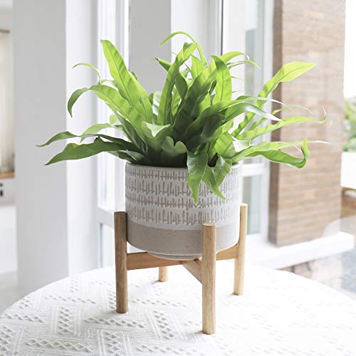 Ceramic Plant Pot with Stand - 7.3 Inch Boho Style Decorative Cyli...
