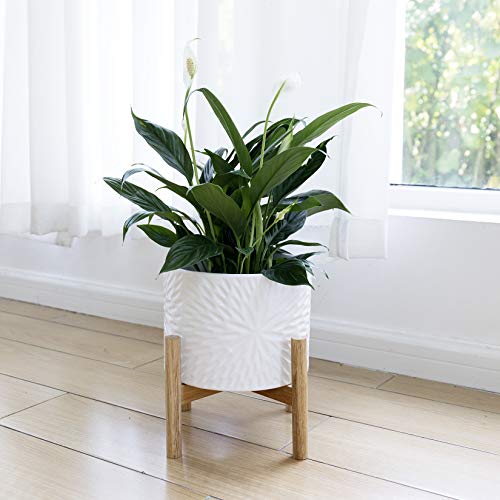 Ceramic Plant Pot with Wood Stand - 8 Inch White Cylinder Floral P...