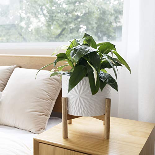 Ceramic Plant Pot with Wood Stand - 8 Inch White Cylinder Floral P...