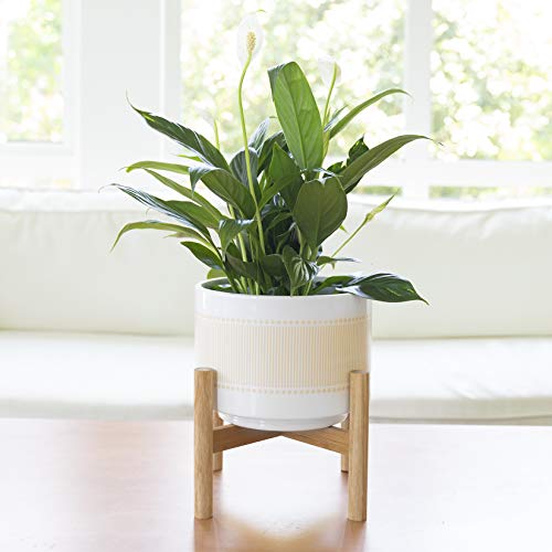 Ceramic Planter with Wood Stand - 8 Inch Boho Dot-Line Pattern Cyl...