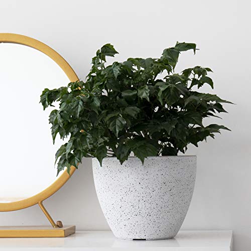 Flower Pots Outdoor Indoor Garden Planters,Plant Pots Containers w...