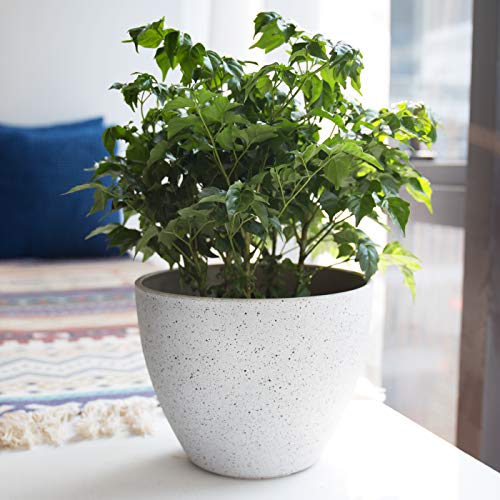 Flower Pots Outdoor Indoor Garden Planters,Plant Pots Containers w...