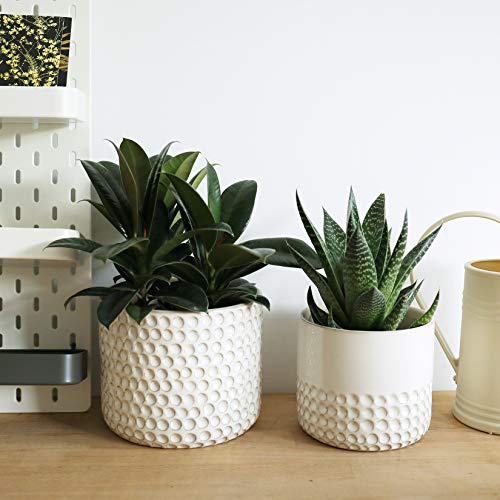 LA JOLIE MUSE Ceramic Planter Flower Plant Pots- 6.7+5.5 Inch Conc...