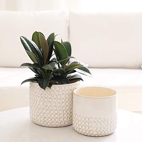 LA JOLIE MUSE Ceramic Planter Flower Plant Pots- 6.7+5.5 Inch Conc...