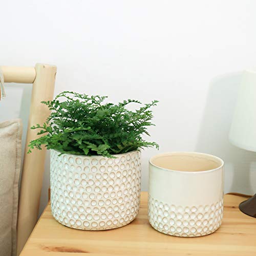 LA JOLIE MUSE Ceramic Planter Flower Plant Pots- 6.7+5.5 Inch Conc...