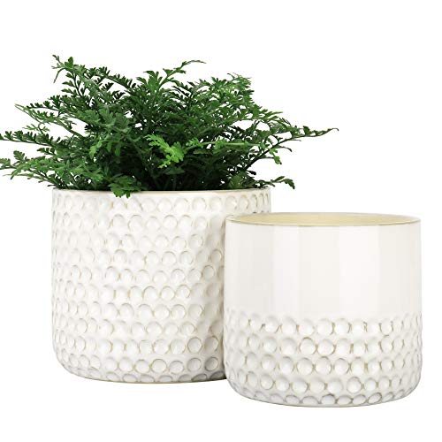LA JOLIE MUSE Ceramic Planter Flower Plant Pots- 6.7+5.5 Inch Conc...