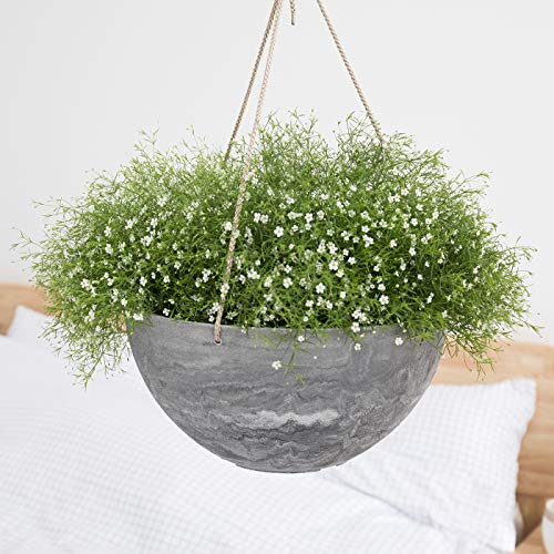 Large Hanging Planters for Indoor Outdoor Plants,Hanging Flower Po...