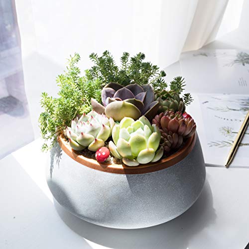 Large Succulent Planter Pots - Ceramic Indoor Outdoor Garden Pot w...
