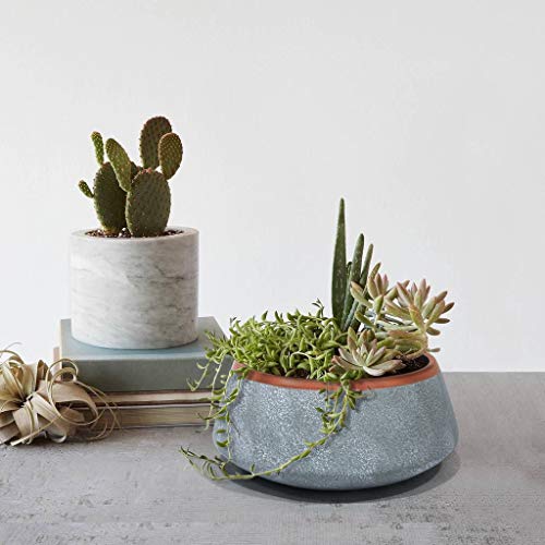 Large Succulent Planter Pots - Ceramic Indoor Outdoor Garden Pot w...