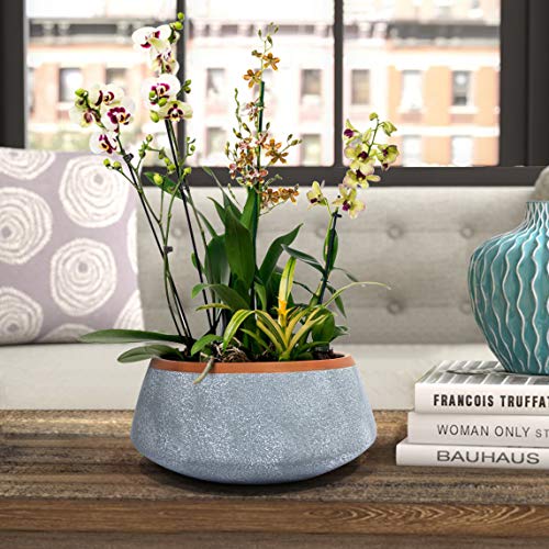 Large Succulent Planter Pots - Ceramic Indoor Outdoor Garden Pot w...
