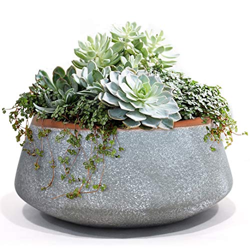 Large Succulent Planter Pots - Ceramic Indoor Outdoor Garden Pot w...