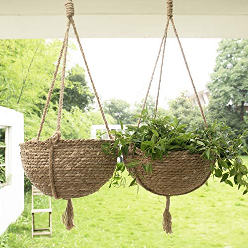 Natural Seagrass Hanging Planter Basket Set, Indoor Plant Pots, Bo...
