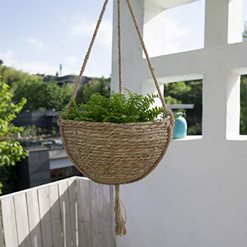 Natural Seagrass Hanging Planter Basket Set, Indoor Plant Pots, Bo...