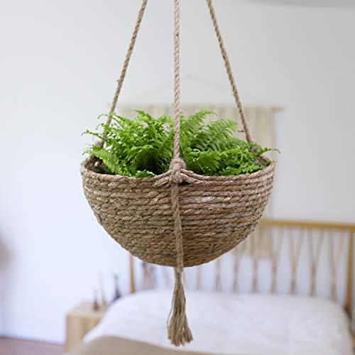 Natural Seagrass Hanging Planter Basket Set, Indoor Plant Pots, Bo...