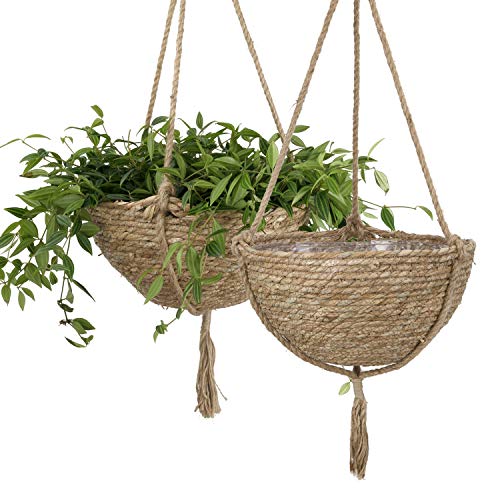 Natural Seagrass Hanging Planter Basket Set, Indoor Plant Pots, Bo...