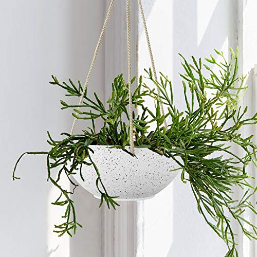 Speckled White Hanging Planter - 8 Inch Indoor Outdoor Hanging Pla...