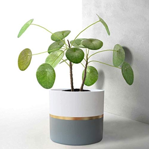 White Ceramic Flower Pot Garden Planters 6.7 + 5.4 Inch Indoor, Pl...