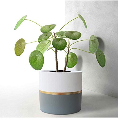 White Ceramic Flower Pot Garden Planters 6.7 + 5.4 Inch Indoor, Pl...