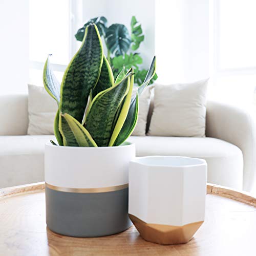 White Ceramic Flower Pot Garden Planters 6.7 + 5.4 Inch Indoor, Pl...