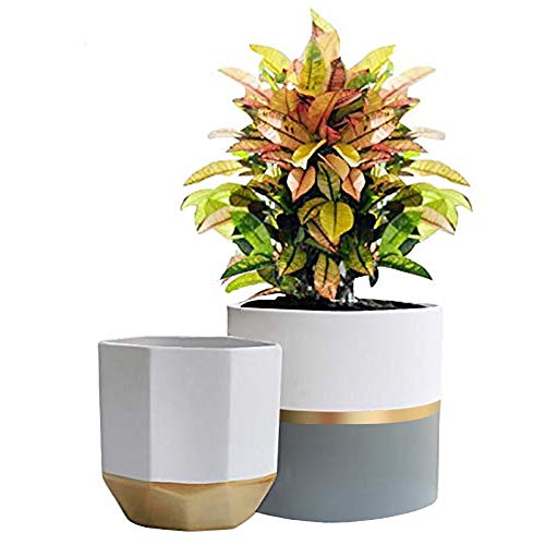 White Ceramic Flower Pot Garden Planters 6.7 + 5.4 Inch Indoor, Pl...